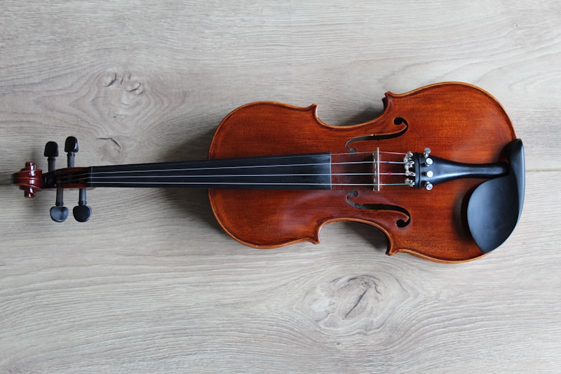 Violin and String Instruments